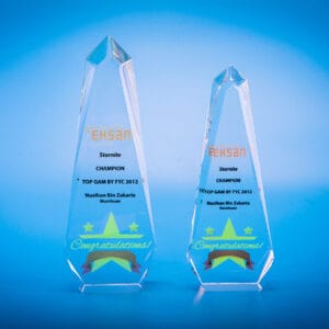 Crystal Trophy Crystal Trophy CR0114