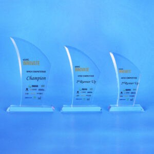 Crystal Plaques Crystal Plaque CR0176