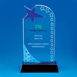 Crystal Plaques Crystal Plaque CR0207
