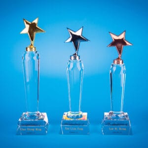 Crystal Trophy Crystal Trophy CR0213