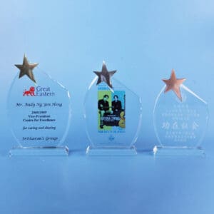 Crystal Plaques Crystal Plaque CR0225