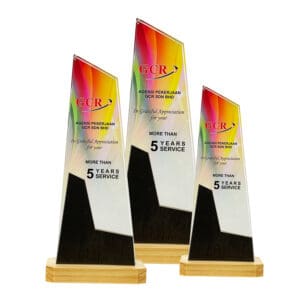 Crystal Trophy Crystal Trophy CR8354 Crystal Trophy Crystal Trophy CR8354