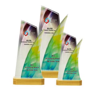 Crystal Trophy Crystal Trophy CR8355