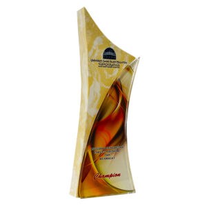 Crystal Trophy Crystal Trophy CR8359