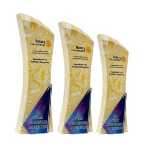 Crystal Trophy Crystal Trophy CR8361