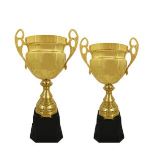Cup Trophy Italian Cup ICBAW403