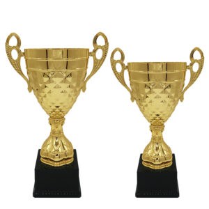 Cup Trophy Italian Cup ICBAW492