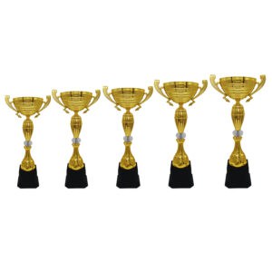 Cup Trophy Golden Cup Trophy ICBAW713