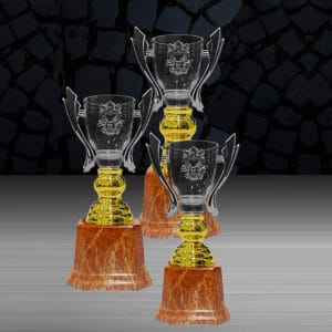 Cup Trophy Cup Trophy EXWS6217 Cup Trophy Cup Trophy EXWS6217