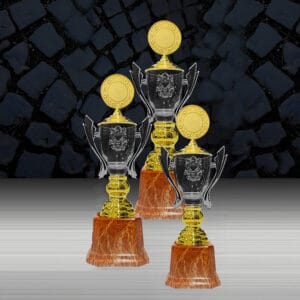 Cup Trophy Cup Trophy EXWS6218 Cup Trophy Cup Trophy EXWS6218