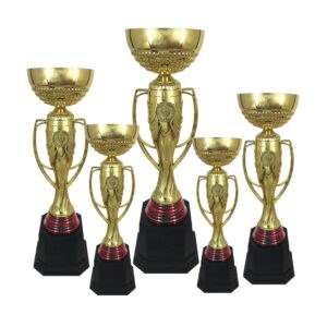 Cup Trophy Golden Cup Trophy ICBAW704