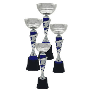 Cup Trophy Silver Cup Trophy ICBAW708SB