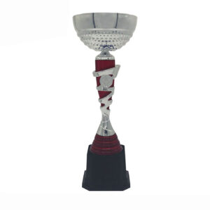 Cup Trophy Silver Cup Trophy ICBAW708SR