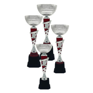 Cup Trophy Silver Cup Trophy ICBAW708SR