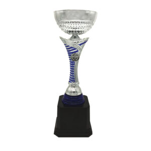 Cup Trophy Silver Cup Trophy ICBAW710S