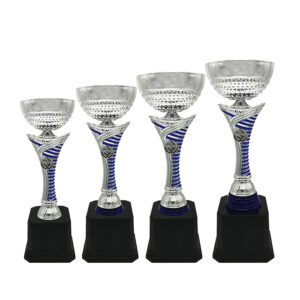 Cup Trophy Silver Cup Trophy ICBAW710S