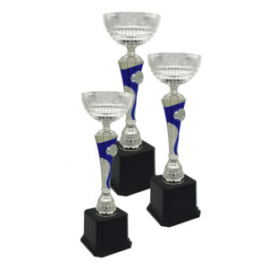 Cup Trophy Silver Cup Trophy ICBAW711S