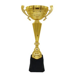 Cup Trophy Golden Cup Trophy ICBAW712