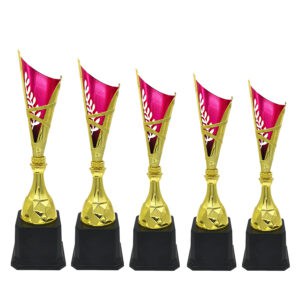 Plastic trophy Plastic Trophy XT1902