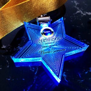 Acrylic Medals Acrylic LED Medal SP5083
