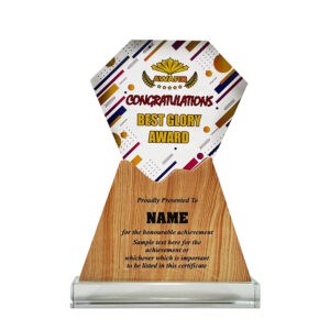 Acrylic Plaques Acrylic Plaque SP5099