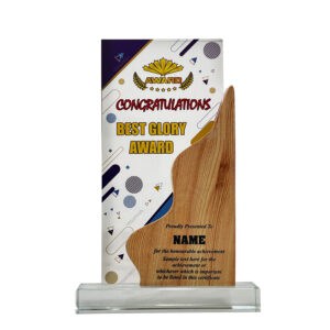 Acrylic Plaques Acrylic Plaque SP5105