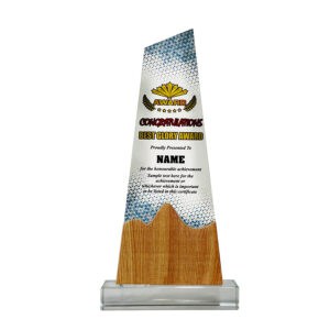 Acrylic Plaques Acrylic Plaque SP5106