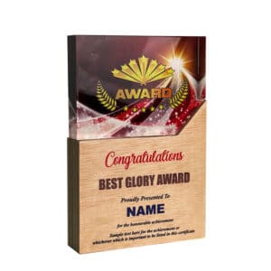 Acrylic Plaques Acrylic Plaque SP5109
