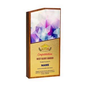 Acrylic Plaques Acrylic Plaque SP5111