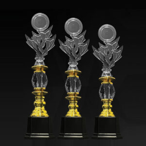 Acrylic Trophy Acrylic Trophy AC4347