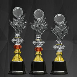 Acrylic Trophy Acrylic Trophy AC4349