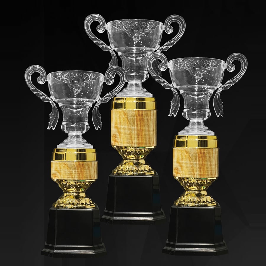 Acrylic Trophy Acrylic Trophy AC4353 Acrylic Trophy Acrylic Trophy AC4353