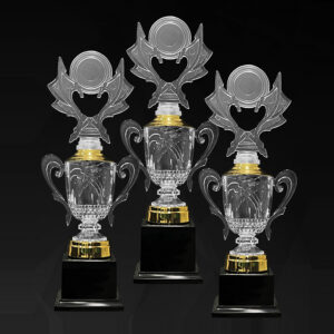 Acrylic Trophy Acrylic Trophy AC4354