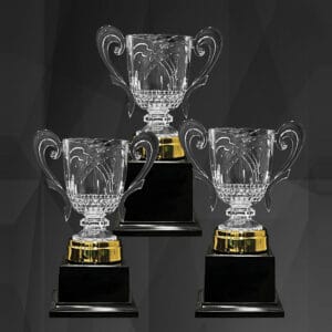 Acrylic Trophy Acrylic Trophy AC4355