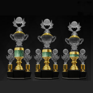 Acrylic Trophy Acrylic Trophy AC4357