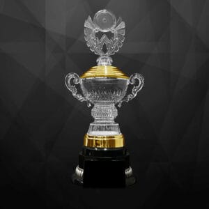 Acrylic Trophy Acrylic Trophy AC4359
