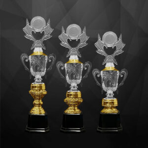 Acrylic Trophy Acrylic Trophy AC4361