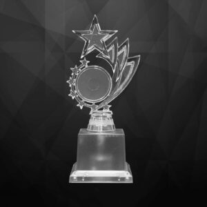 Acrylic Trophy Acrylic Trophy AC4365