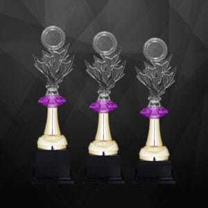 Acrylic Trophy Acrylic Trophy AC4367