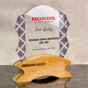Crystal Plaques Crystal Plaque CR3113
