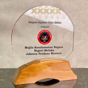 Crystal Plaques Crystal Plaque CR3114
