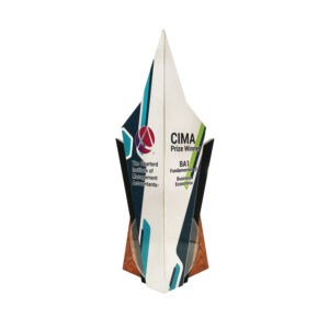 Custom Trophy Custom Trophy WP7435 Custom Trophy Custom Trophy WP7435