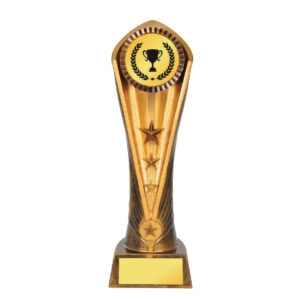 Awards Custom Awards AR1168