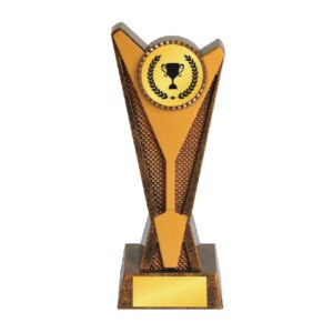 Awards Custom Awards AR1169