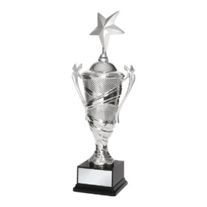 Acrylic Trophy Acrylic Trophy CA1930