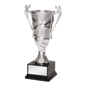 Acrylic Trophy Acrylic Trophy CA1931