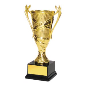 Acrylic Trophy Acrylic Trophy CA1932