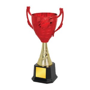Acrylic Trophy Acrylic Trophy CA1937