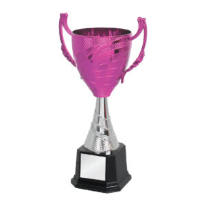 Acrylic Trophy Acrylic Trophy CA1938
