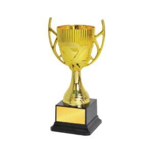 Acrylic Trophy Acrylic Trophy CA1950
